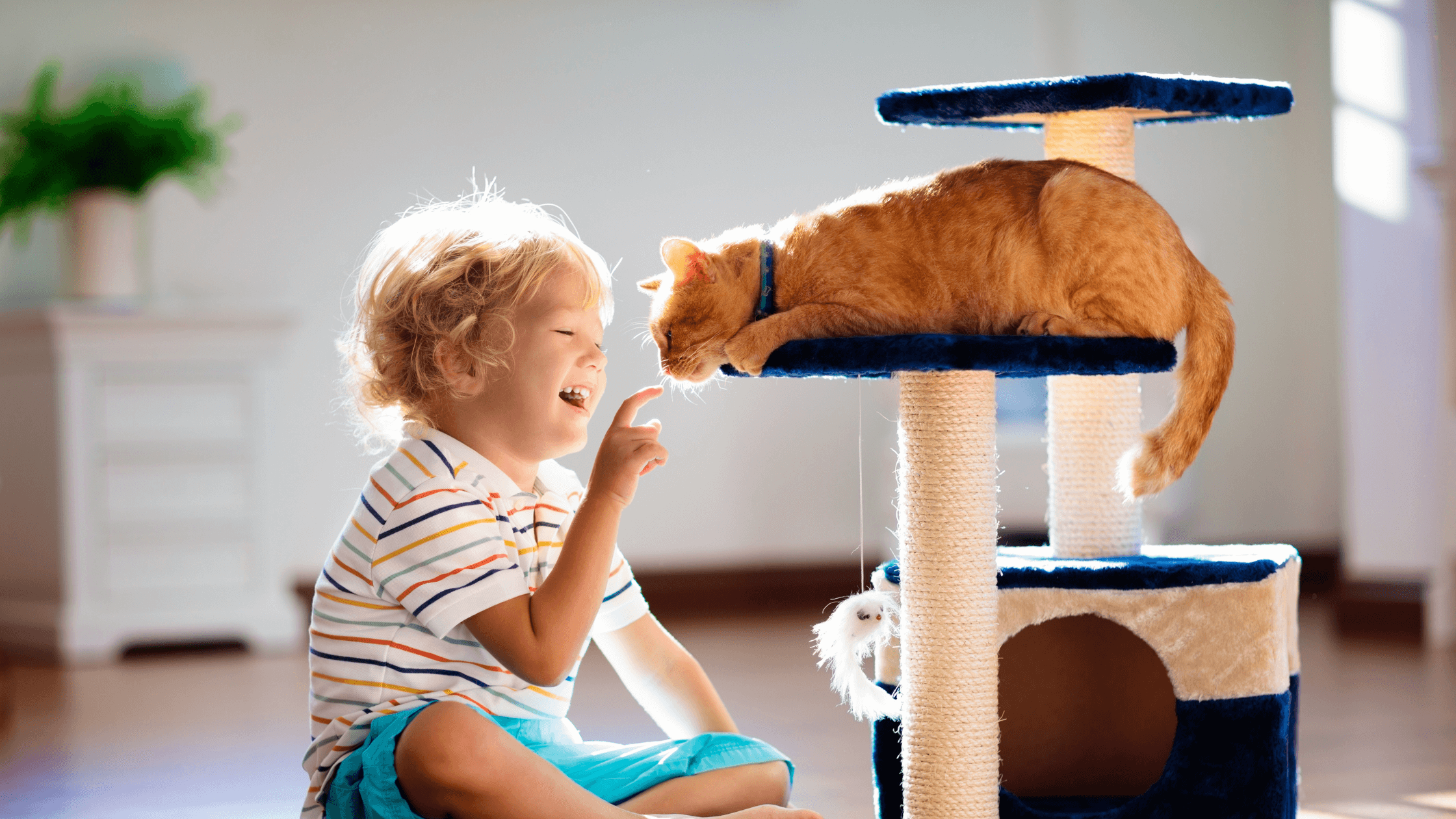 A Cleaner Home Awaits